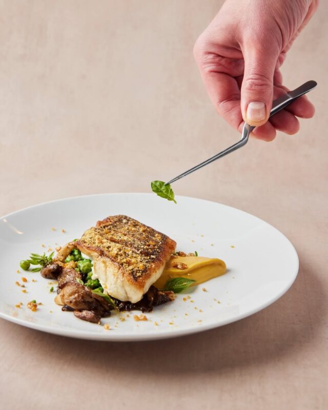 A hand uses tweezers to place a green garnish on a plated dish with seared fish, vegetables, mushrooms, and a yellow sauce, on a white plate against a neutral background.
